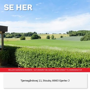 Opslagsbillede