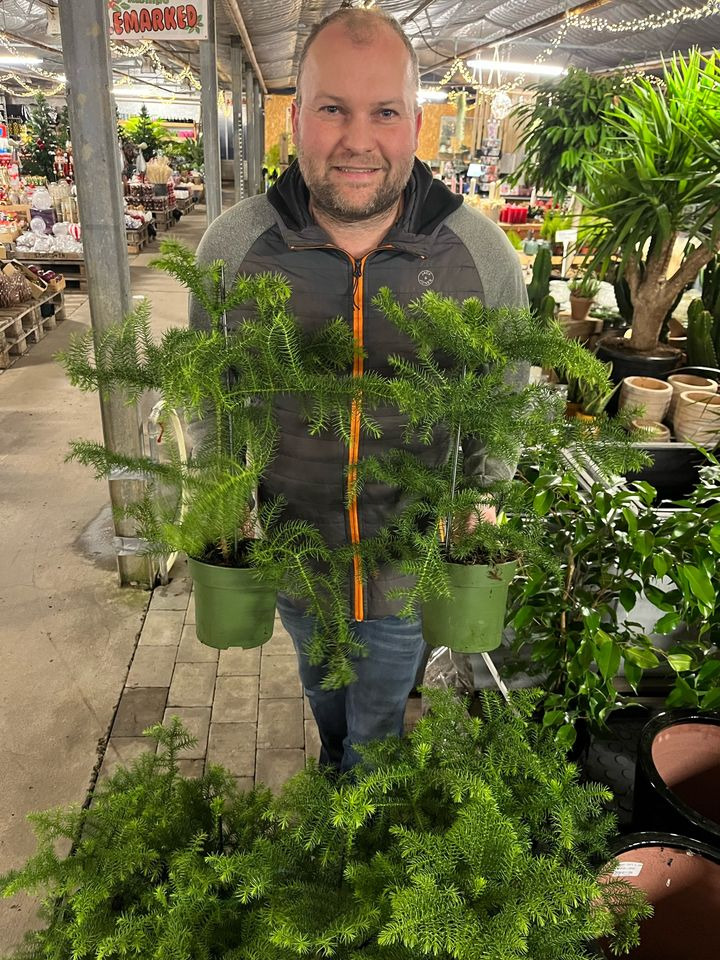 En finger på pulsen i Odder