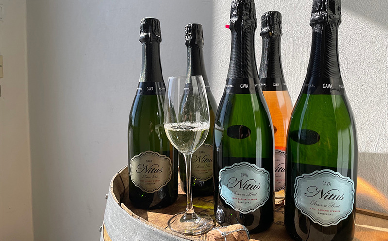 Hold trit med lokalområdet: Nyt fra Skive