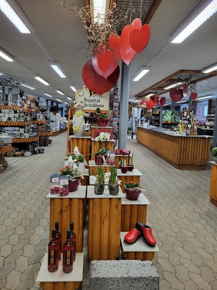 Asmild Plantecenter ApS: Bestil blomster til Valentinsdag – vi leverer gerne for dig