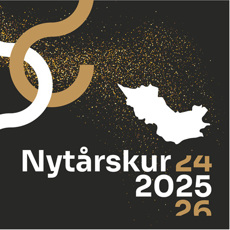 Hedensted Kommunes Nytårskur 2025: En dag med netværk og anerkendelse