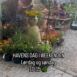 Opslagsbillede