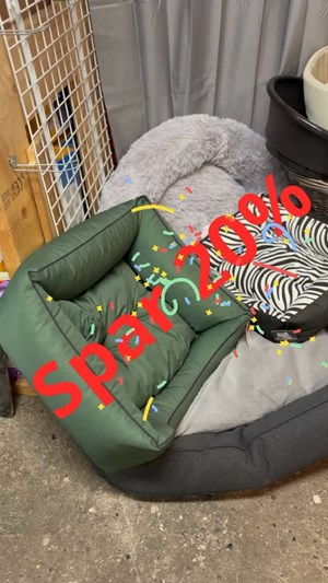 opslagsbillede
