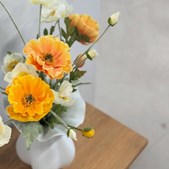 Livingshop Holstebro tilbyder 20% rabat på populære Nellie vaser i forskellige farver og størrelser