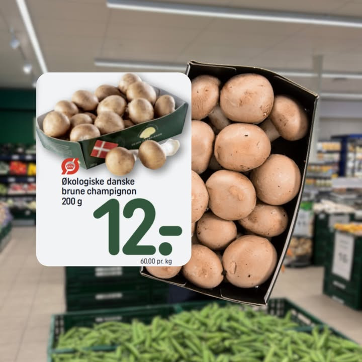 Økologiske danske champignoner hos Rema1000 Gærumvej til 12 kr. i denne uge
