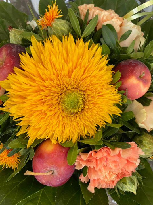 Hold dig ajour med dagens opdateringer fra Roslev