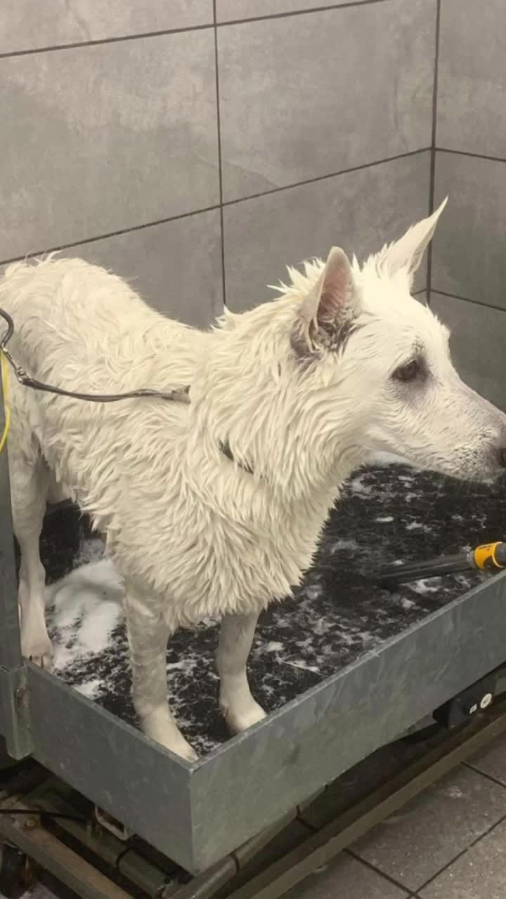 En finger på pulsen i Sæby