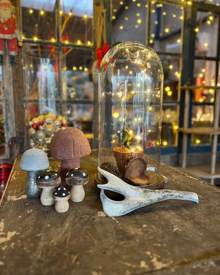 Opdatér dig her: Det nyeste fra Vejle