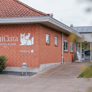 Opslagsbillede