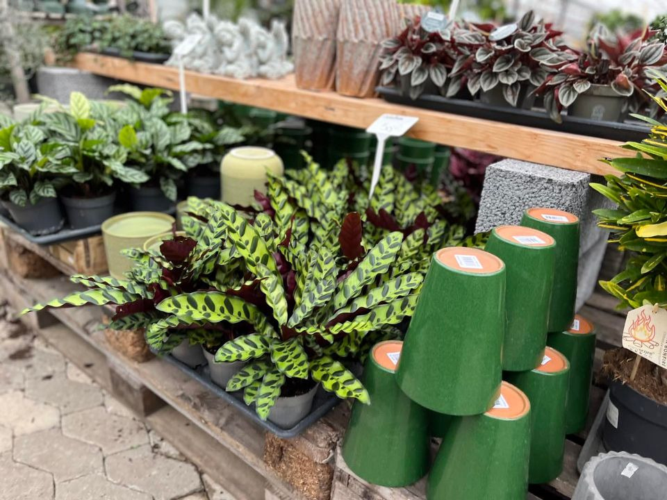 Opslagstavlen: Nyeste opdateringer fra Horsens