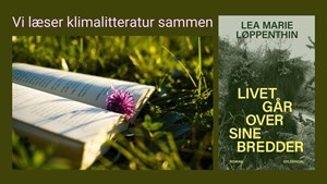 Bliv en del af læsekredsen på Islev Bibliotek