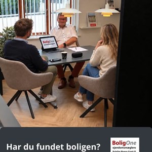 Opslagsbillede