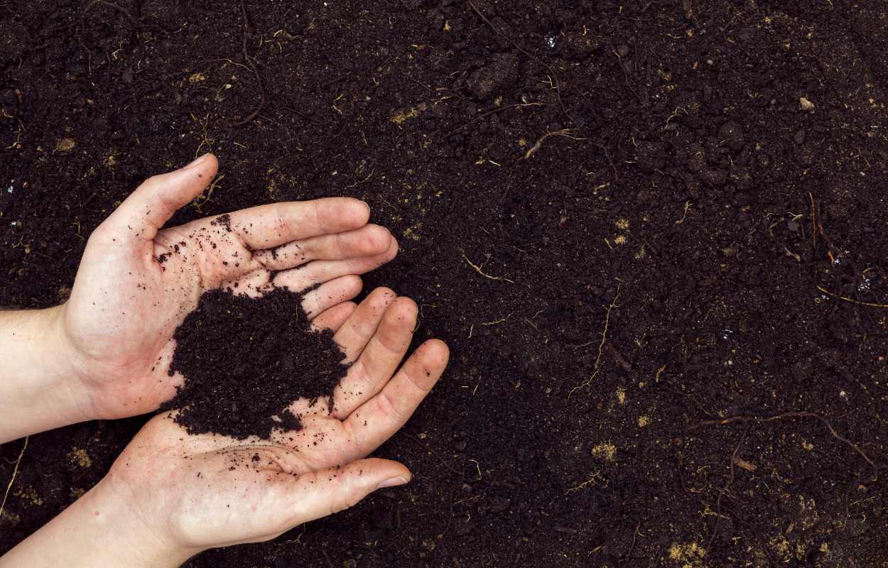 Randers finder spændende arkæologisk fund 