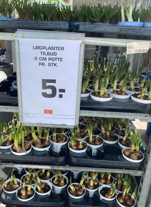 Det nyeste på Viby Js opslagstavle