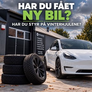 Opslagsbillede