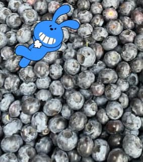 Se dagens updates fra Sæby her