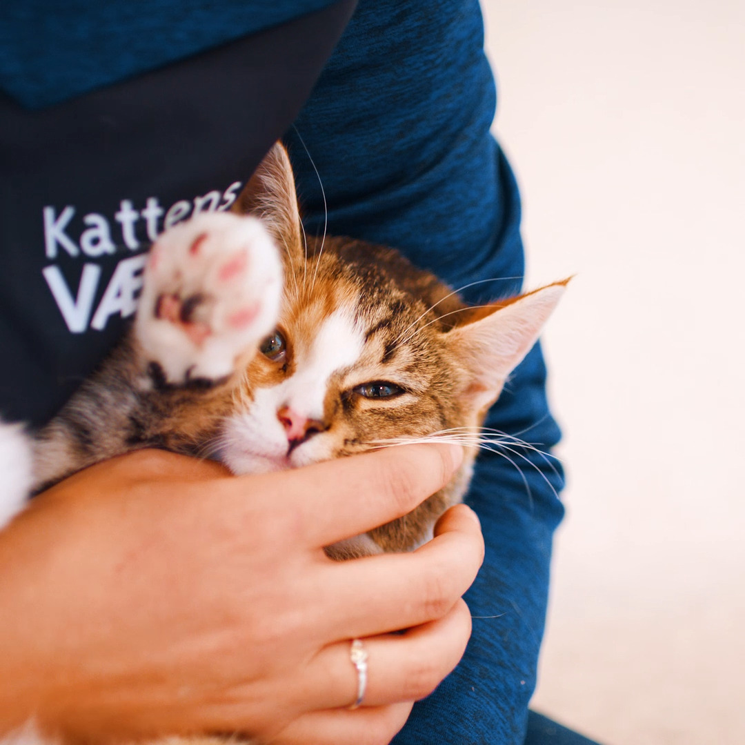 Det nyeste på Hjørrings opslagstavle