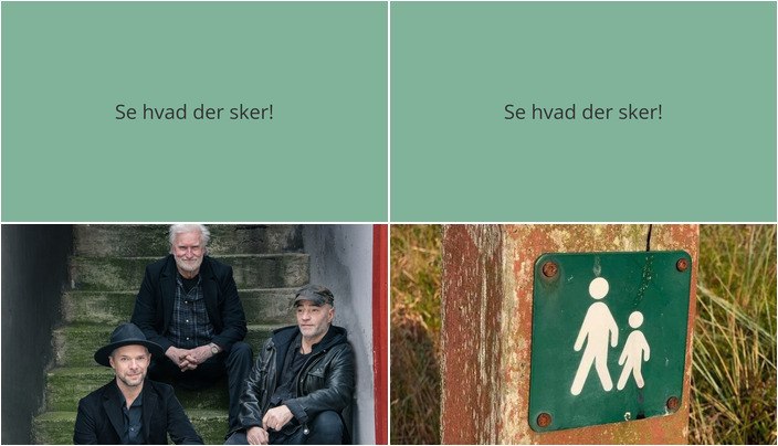 Folkmusik og naturskønne gåture: Oplev Henne den kommende uge