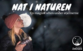Oplev nattens magi i Naturpark Åmosen