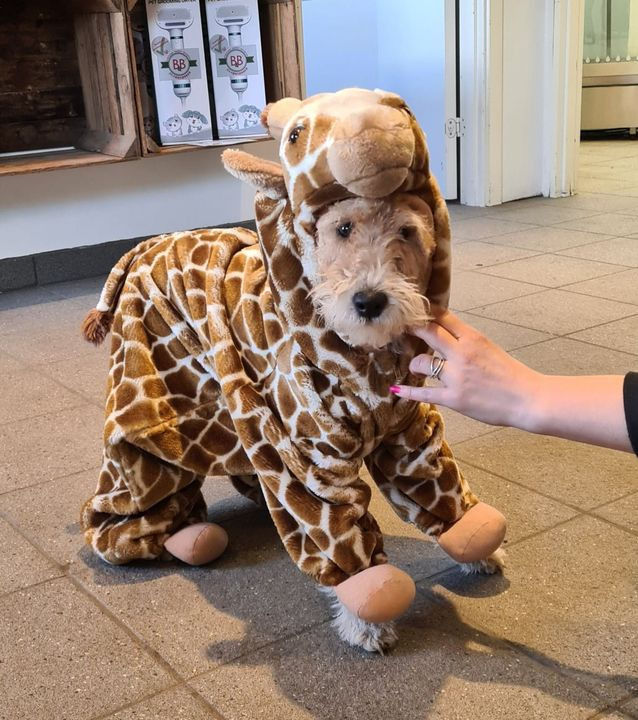 Opdatér dig her: Det nyeste fra Sæby