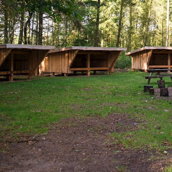 Hold dig ajour med dagens opdateringer fra Billund