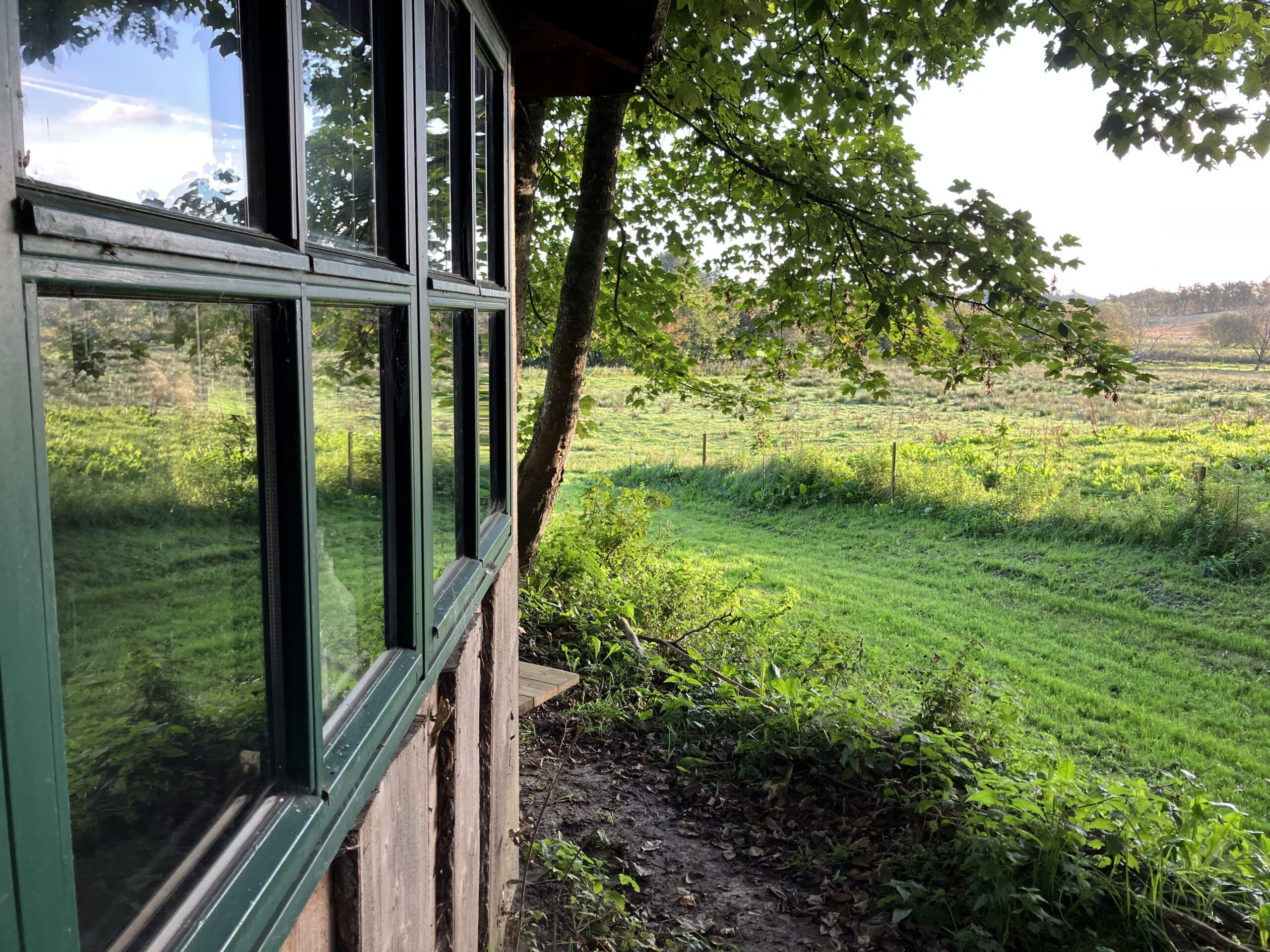 Snak og æd – For mænd der tåler lidt røg