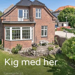Opslagsbillede