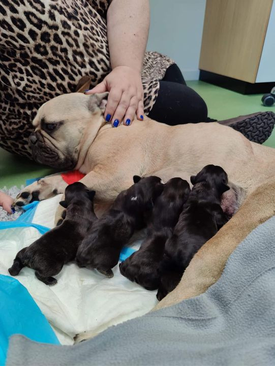 Se dagens updates fra Herning her