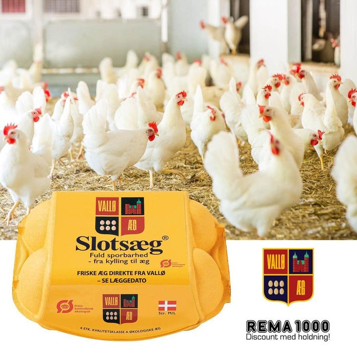 Opslagstavlen: Nyeste opdateringer fra Viby J