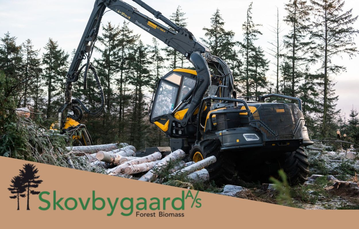 Skovbygaard tilbyder omfattende skovning og naturpleje i Nordjylland