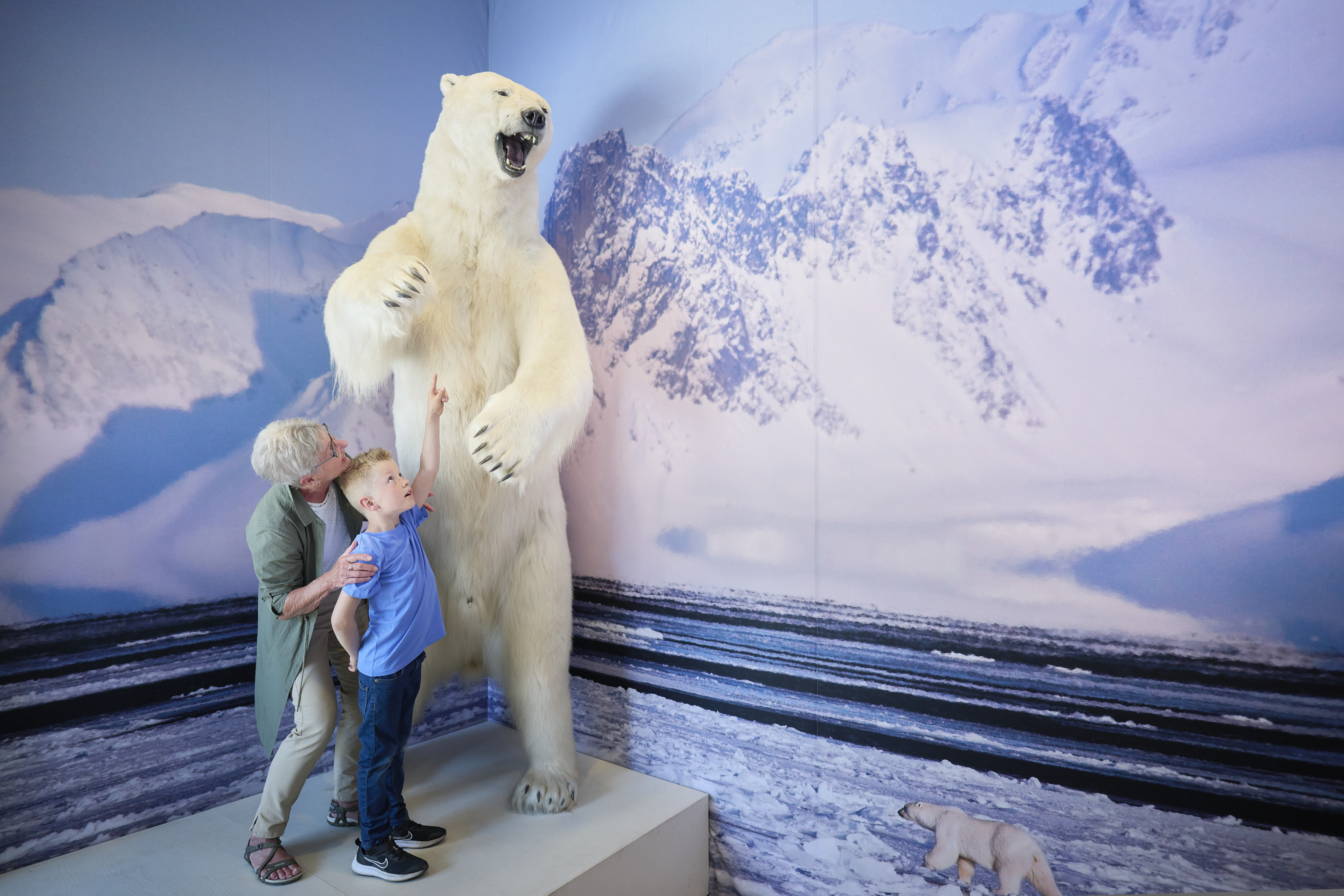 Oplev naturens tilpasninger på Naturama