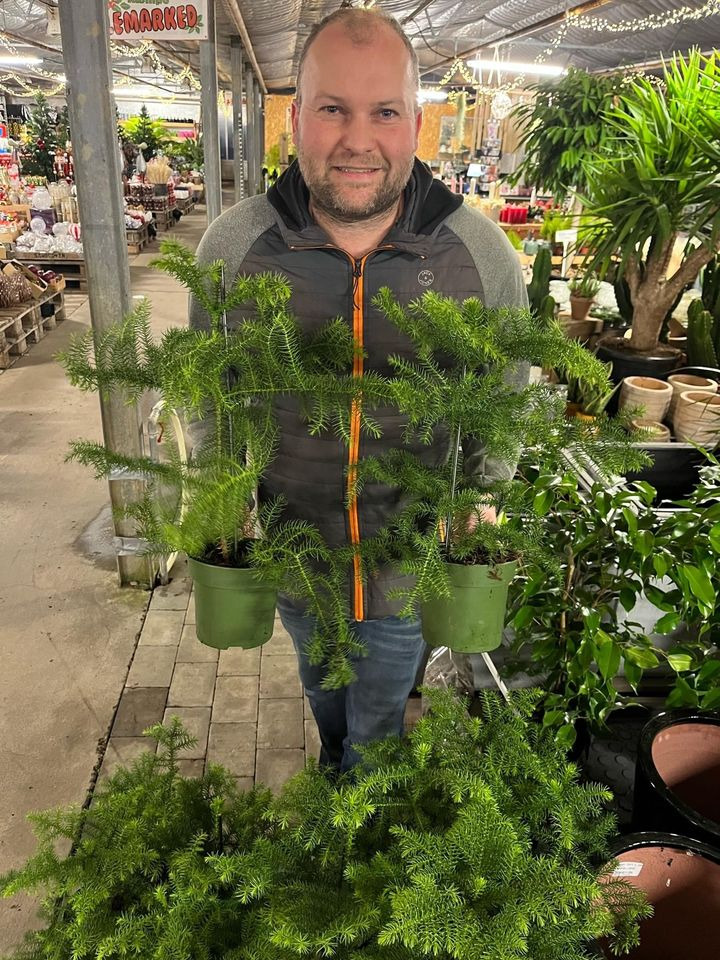 Hold dig ajour med dagens opdateringer fra Odder