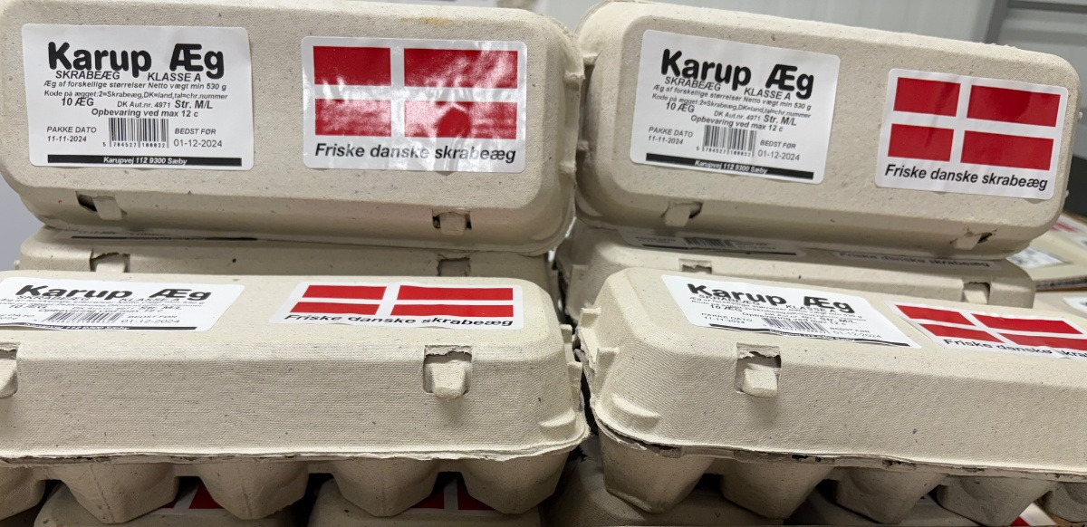 Meny Hobro tilbyder Karup skrabeæg til kun 16,66 kr.