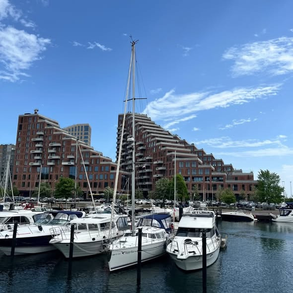 Aarhus Havnerundfart har få pladser tilbage til Tall Ships-havnerundfarter