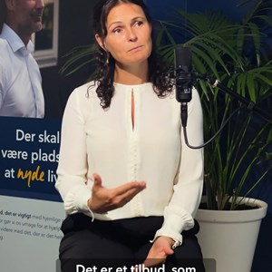 Opslagsbillede