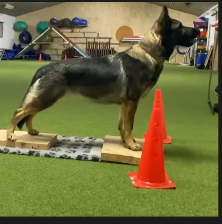 Se dagens updates fra Sæby her