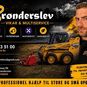 Opslagsbillede