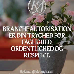 Opslagsbillede