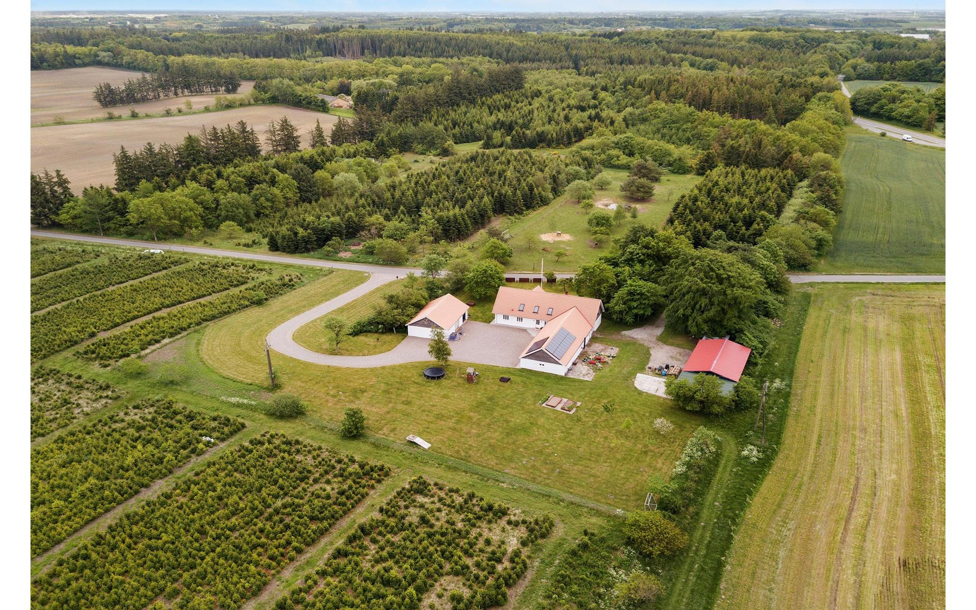 En finger på pulsen i Aars