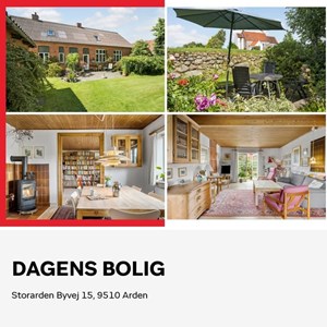 opslagsbillede