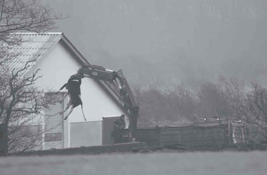 Vinter i barndommen i 1960'erne 