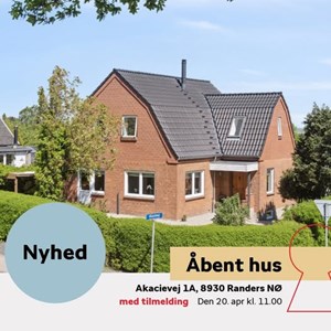 Opslagsbillede