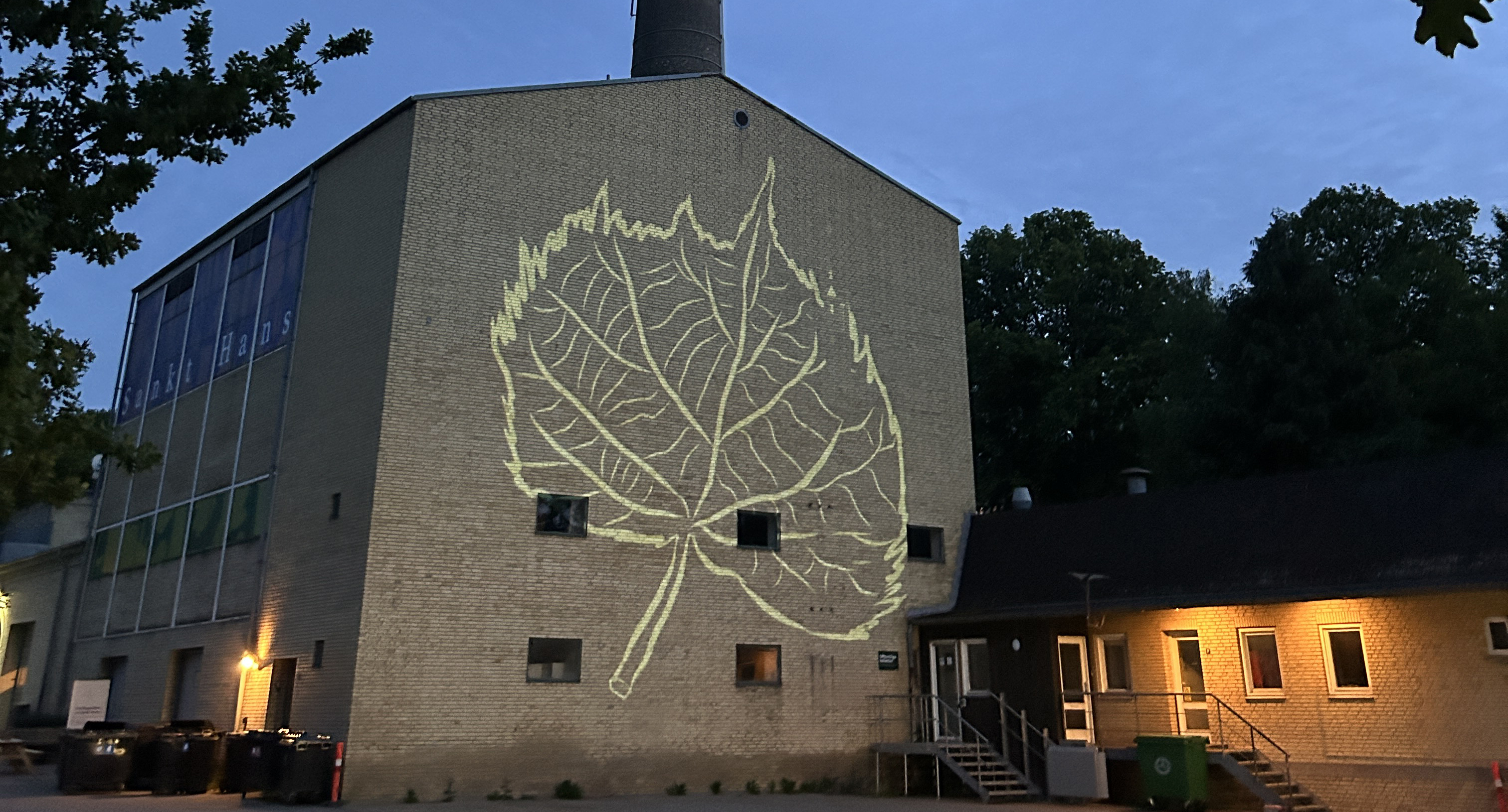 Oplev lysværket "Hvor træerne gror ind i himlen" på Sankt Hans