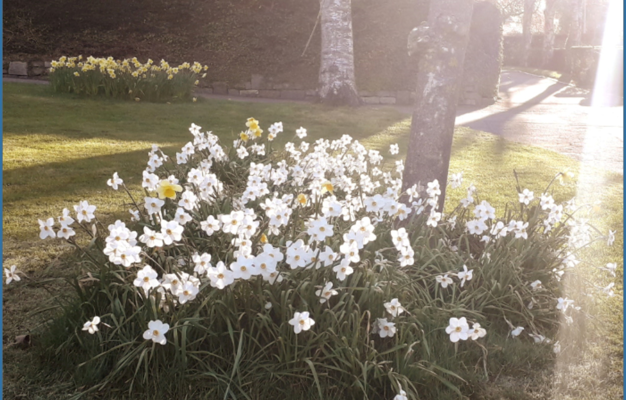 Tag med til forårskoncert i Viby Kirke 