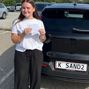 Opslagsbillede