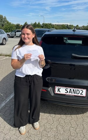 opslagsbillede