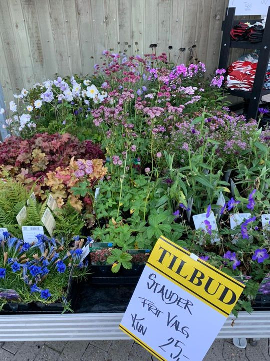 Nyt på opslagstavlen i Brønderslev