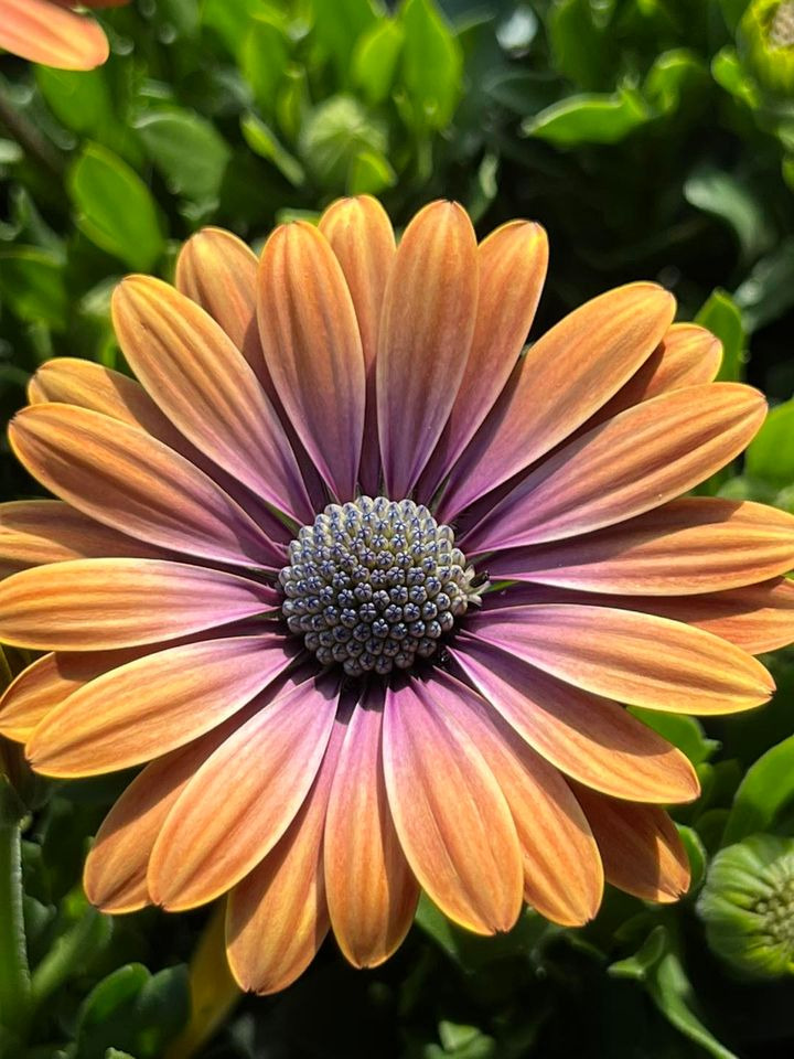 Opslagstavlen: Nyeste opdateringer fra Horsens