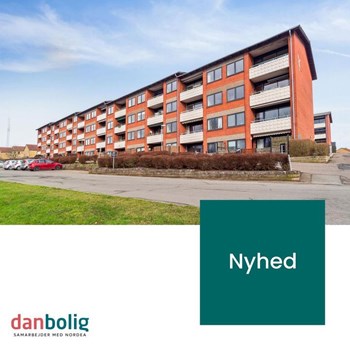 Opslagsbillede