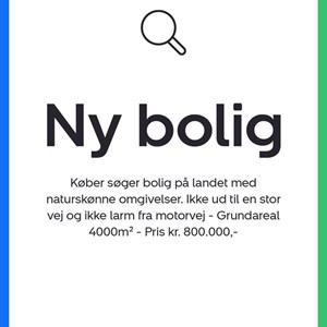 Opslagsbillede